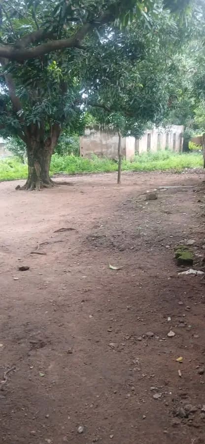 2 Plots of Fenced Land - Opposite Kwara State House of Assembly, Ilorin